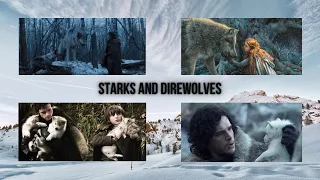 How Starks found Direwolves south of the wall?🤔