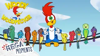 Wild Bee Chase! 🐝 | Woody Woodpecker | Compilation | Mega Moments