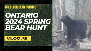 Ontario DIY spring bear hunt | VLOG #2