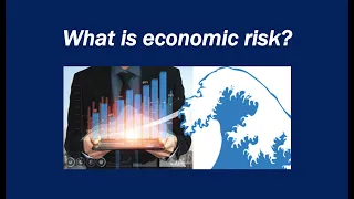 What is economic risk?