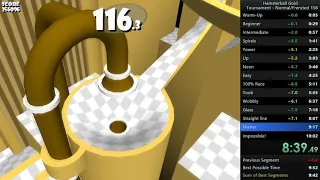 Hamsterball - Frenzied Tournament No Skips 9:52 (WR)