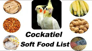 Cockatiel Parrot Soft Food List || Cockatiels Parrot Soft food