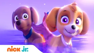 Щенячий патруль | Щенки спасают рыбопса | Nick Jr. Россия