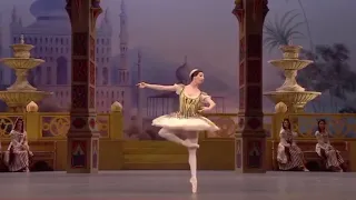 LE CORSAIRE - Odalisque Variation #1 (Ana Turazashvili - Bolshoi Ballet)