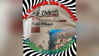 Koi food, which one? Saki-Hikari Experiment initial impressions and week 1 review