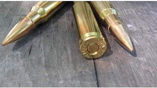 .308 Winchester, 147gr FMJ, PerFecta, Velocity Test, M1A