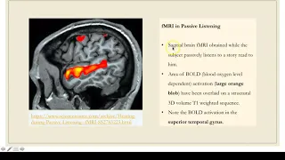 fMRI and PET - Educational Video in ENT by Dr. Shyam Kalyan N (World ENT Care)