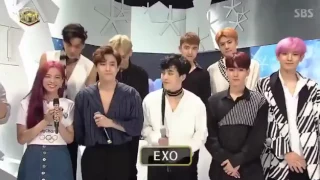 JinJiDo EXO Interview + (Jisoo and Suho Moments)