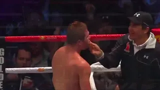 Canelo Alvarez KO Highlights 2021