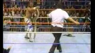 WWF History - Andre the GIANT & Jake Roberts feud