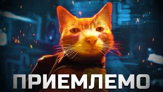 Stray - Все Труды Коту Под Хвост? | Разбор, Обзор