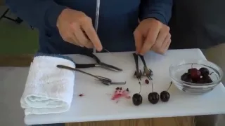DIY-How to Make a Homemade Cherry Pitter