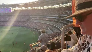 Scorchers Win Big Bash 2023