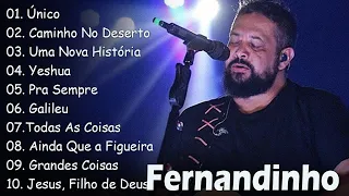 Único , Caminho No Deserto,.. FERNANDINHO ||  Destaque: As Melhores Canções Gospel de 2024