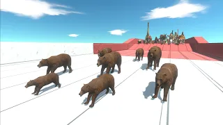 Race to eat Grizly Bears - Animal Revolt Battle Simulator