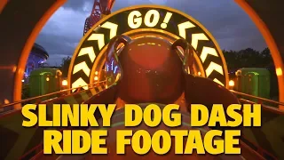 Toy Story Land Slinky Dog Dash On-Ride Footage and More | Walt Disney World