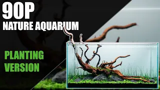 PLANTING A 90P AQUASCAPE