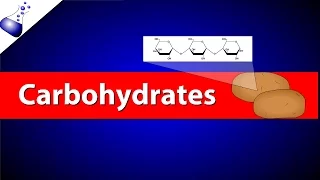 Carbohydrates