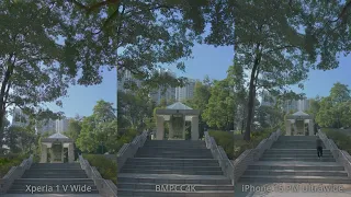 [SDR Downconverted] Xperia 1 V vs BMPCC4K vs iPhone 15 Pro Max Sunny Day Video Recording Comparison