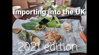 Unboxing Rare Plant Import from Thailand!