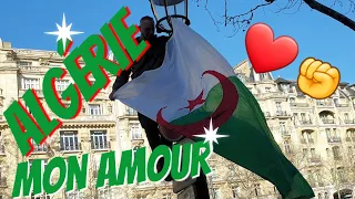 ALGÉRIE MI AMOR🇩🇿TOUJOURS AVEC LE COEUR💞❤💗💕😘MANIF GILETS JAUNES✊