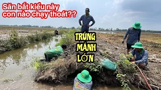 QUÁ HẤP DẪN & KỊCH TÍNH • SĂN BẮT KIỂU NÀY CON NÀO CHẠY THOÁT • Hunting | Bông Lúa Đồng Tháp