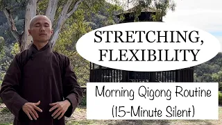 15-Minute Qigong Daily Routine for STRETCHING and FLEXIBILITY | ( Silent )
