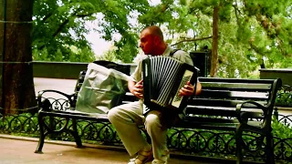 Одесса, Приморский бульвар, баян / Odessa, Primorsky Boulevard, Accordion