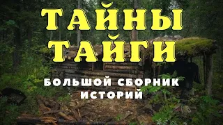 Необъяснимое в тайге/ Истории таёжных охотников/Охотничьи байки/Страшные истории