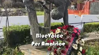 Blue voice cantano per amatrice