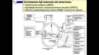 Фармакология 1.Антигипертензивные средства