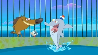 Zig & Sharko - Waterski Hit! (S01E13) _ Full Episode in HD