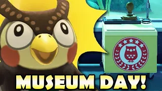 🦉 INTERNATIONAL MUSEUM DAY In Animal Crossing New Horizons!