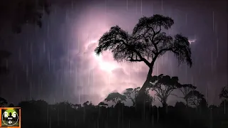 Epic Thunderstorm Sounds | Heavy Thunder and Lightning with Light Rain for Sleep, Study, Relax