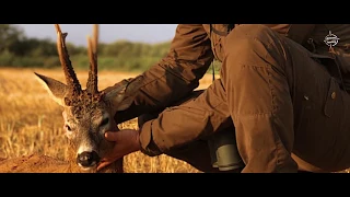 Roe Buck Hunting in Poland  - 750 grams gold medal roe buck.