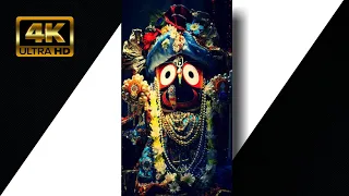 Dukha Daria re Sukha Boita|| odia bhajan status||Jay jagannatha||Black Screen Status||