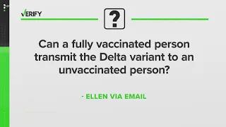 Can a fully vaccinated person transmit the Delta variant to an unvaccinated person? | Verify