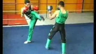 Savate My Champion Techniques