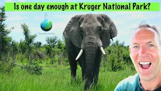 1 day at Kruger National Park