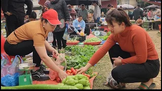 FULL VIDEO: 200 days of harvesting vegetables at the farm to bring to the market, farm life.