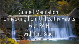 Guided Meditation: Unhooking from Unhealthy Habits with RAIN - Tara Brach