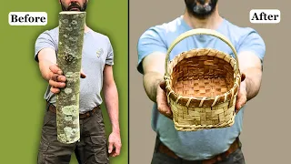 Sweet Chestnut Bark Basket - Step by step Harvesting, Preparing & Weaving {Nick McMillen}