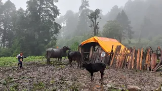 Surviving Life in the Nepali Mountains During The Rainy Season | Living With beautiful Nature