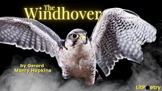 'The Windhover' by Gerard Manley Hopkins (Poetry Analysis Video)
