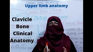 Clinical anatomy of clavicle bone | upper limb anatomy, bd churasia