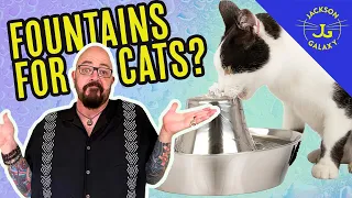 Cats and Water Fountains: Is Running Water Healthier for Your Cats?
