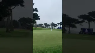 Pga championship winner golfer Collin Morikawa eagle putt on 16 PGA Harding Park 2020