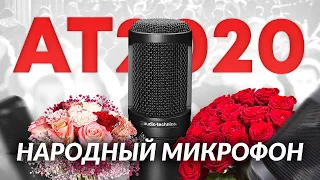 Микрофон Audio-Technica AT2020 "Народный": Обзор, тест, сравнение.