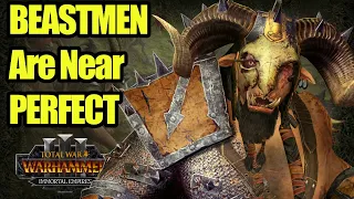 Beastmen Need 1 DLC To Be COMPLETE - Immortal Empires - Total War Warhammer 3 - State Of The Faction