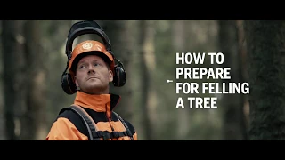 How to fell a tree – Husqvarna Chainsaw Academy